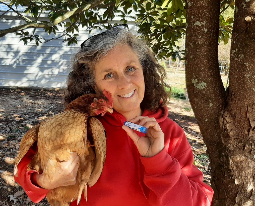 Homeopathy for Poultry and People Backyard Poultry